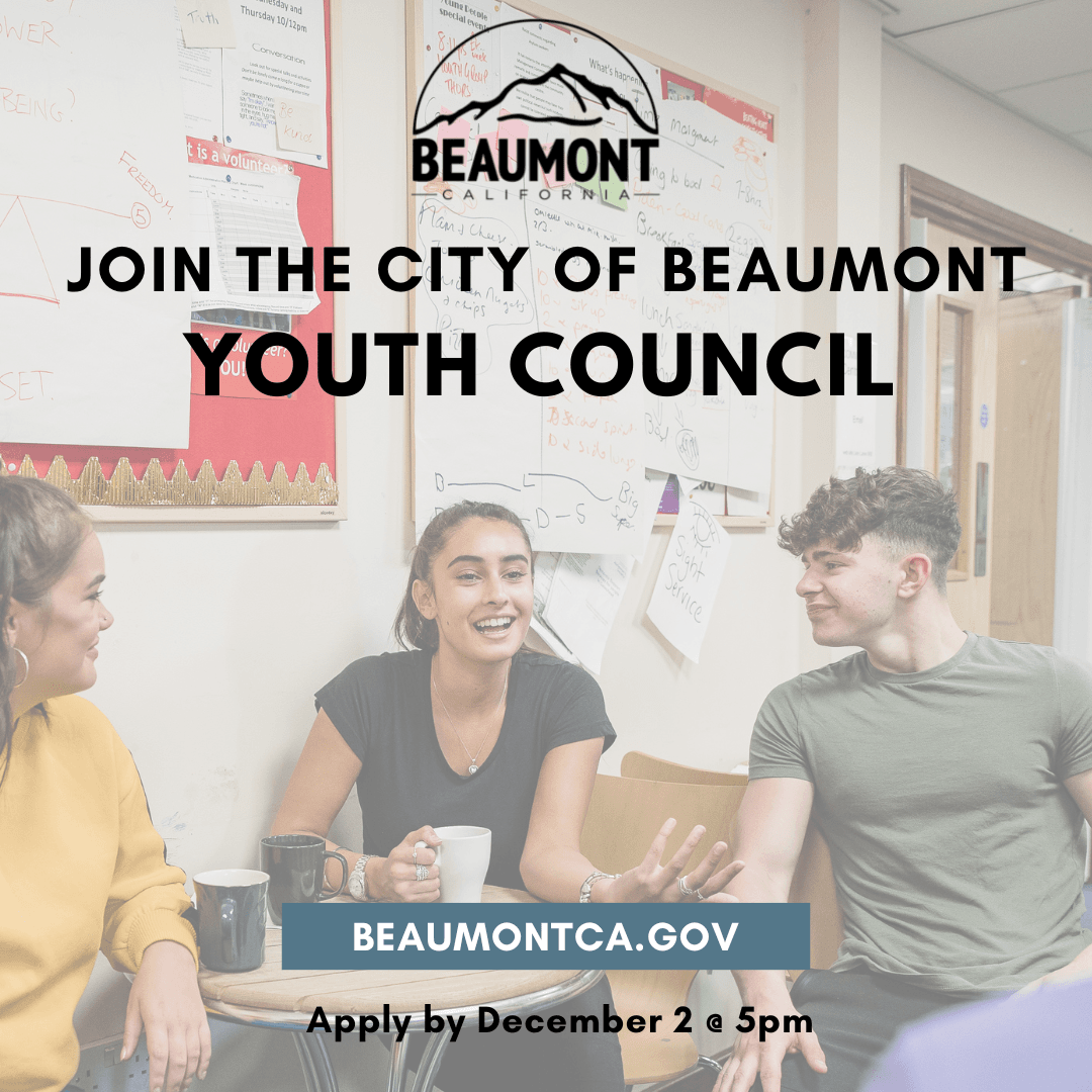 Youth Council Graphic