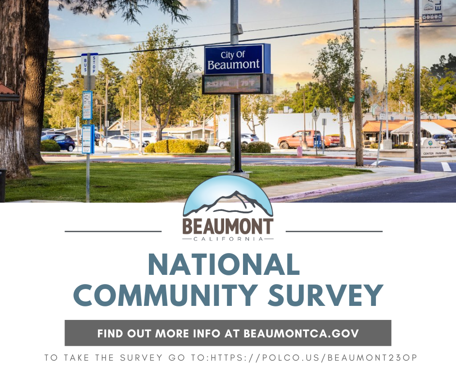 National Community Survey Graphic